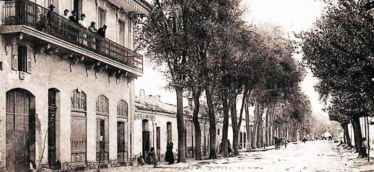 1025- Sidi-Bel-Abbes - Avenue Kleber2.jpg